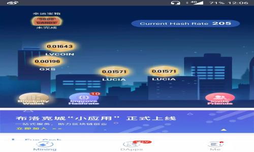 比特币分叉币常见钱包推荐与使用指南