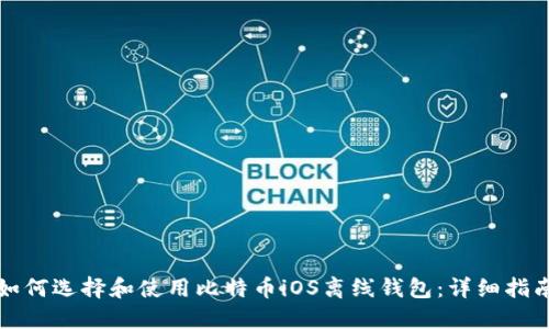 如何选择和使用比特币iOS离线钱包：详细指南