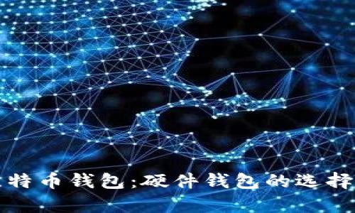 深入解析比特币钱包：硬件钱包的选择和使用技巧