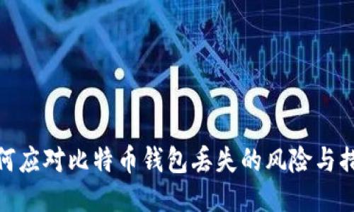 如何应对比特币钱包丢失的风险与措施