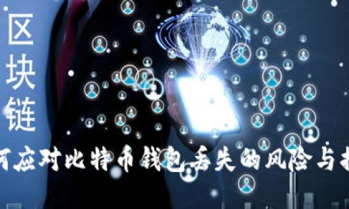 如何应对比特币钱包丢失的风险与措施