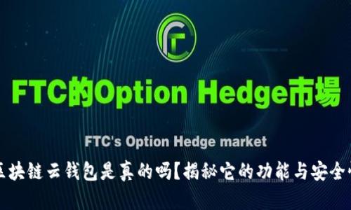 区块链云钱包是真的吗？揭秘它的功能与安全性