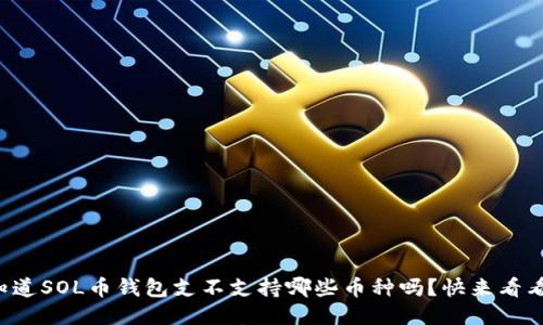 你知道SOL币钱包支不支持哪些币种吗？快来看看吧！