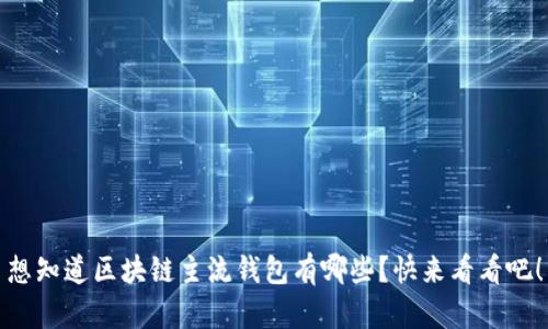 想知道区块链主流钱包有哪些？快来看看吧！