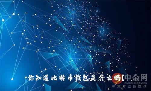 你知道比特币钱包是什么吗？