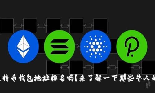 你知道比特币钱包地址排名吗？来了解一下那些牛人的钱包吧！