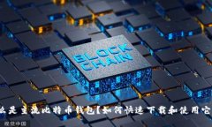 什么是主流比特币钱包？如何快速下载和使用它