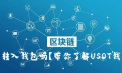 USDT可以转入钱包吗？带你了解USDT钱包的秘密！