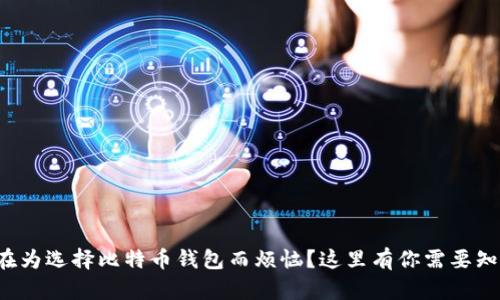 你是否还在为选择比特币钱包而烦恼？这里有你需要知道的一切！