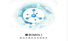 如何在Token钱包中添加BSC链？详细步骤与常见问题