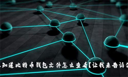 想知道比特币钱包文件怎么查看？让我来告诉你！