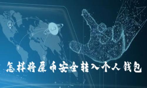 怎样将屎币安全转入个人钱包